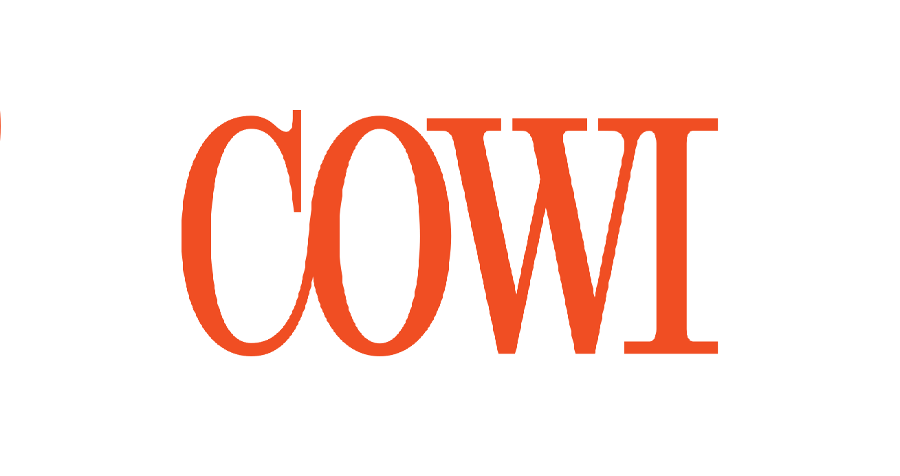 COWI Recruitment 2020