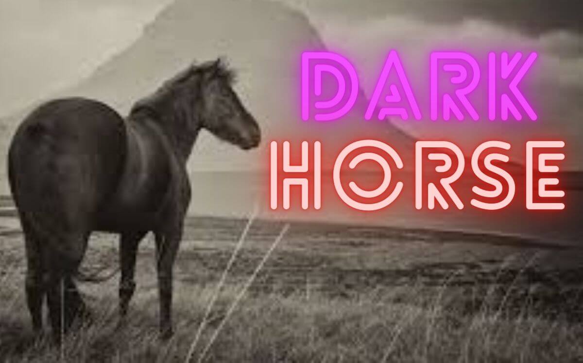 Dark Horse Recruitment 2020