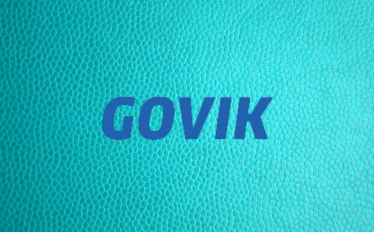 govik_logo