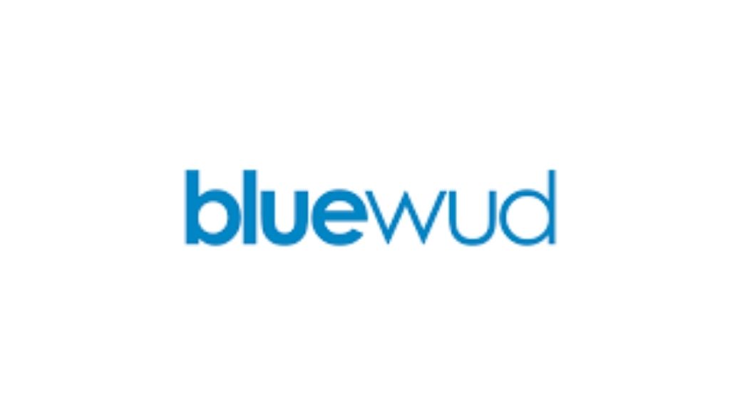Bluewud Recruitment 2021