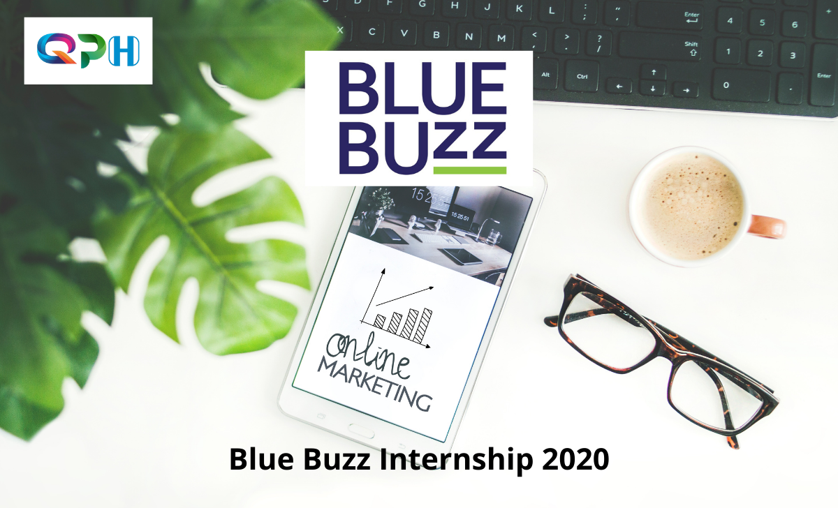 Blue Buzz Internship 2020