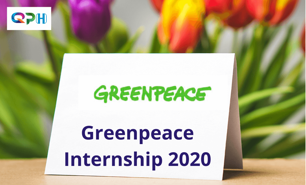 Greenpeace Internship 2020