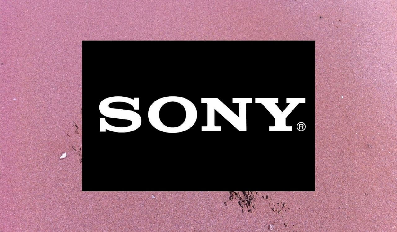 Sony Internship 2021